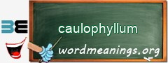 WordMeaning blackboard for caulophyllum